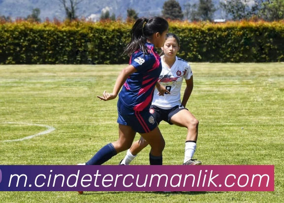 雷火竞技官网发展历程